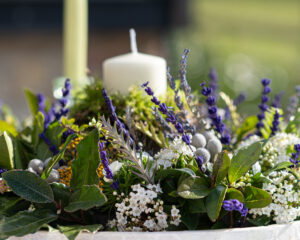 bloomingt 02 25 57
